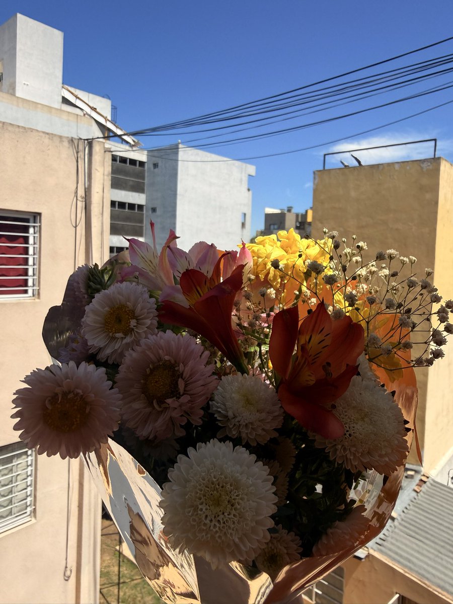 Javi Iriarte tweet media