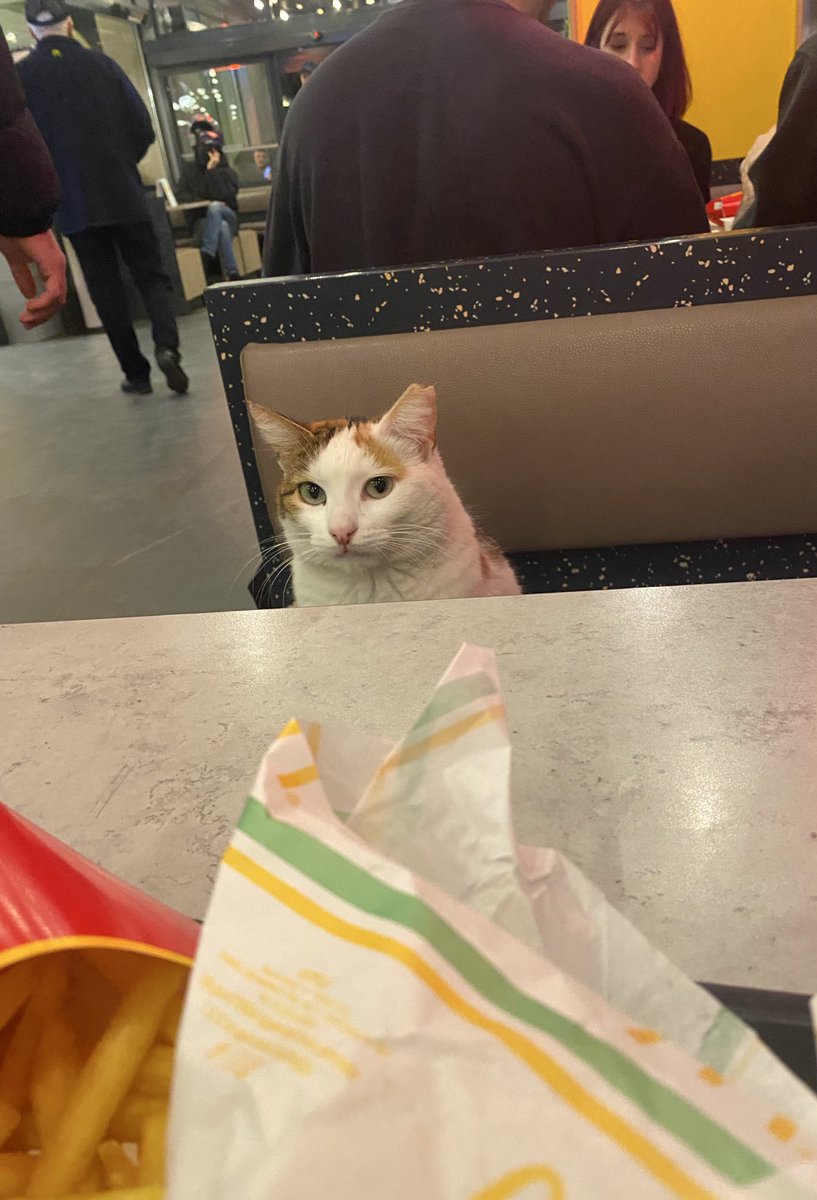 azazelagony's tweet photo. first date https://t.co/iXXmzIIFTF