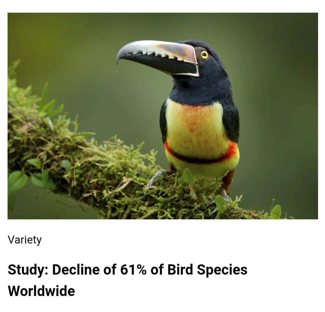 ClimateBen's tweet photo. icymi:  this is rapid mass extinction https://t.co/2dVqUOSl4c