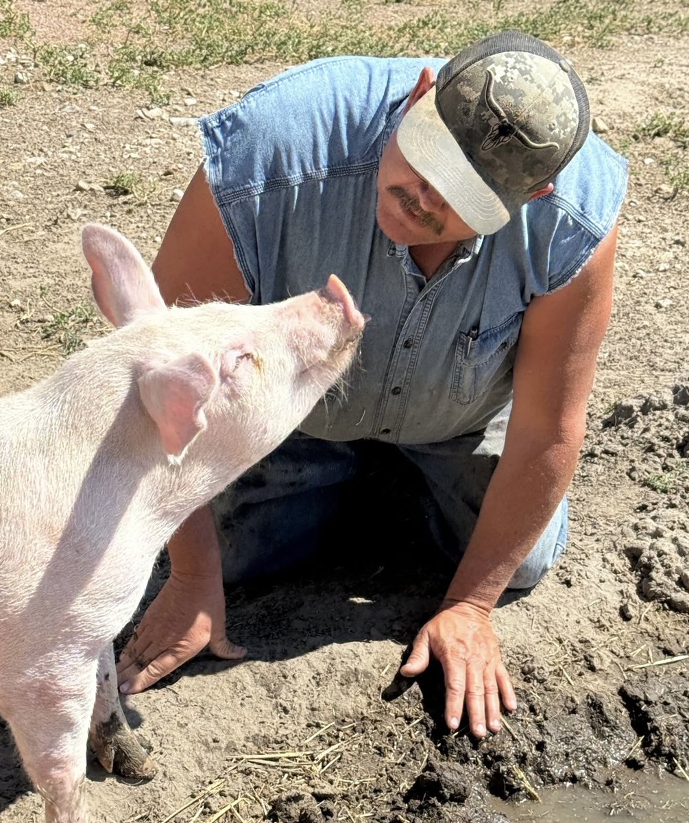 Kindness Ranch tweet media