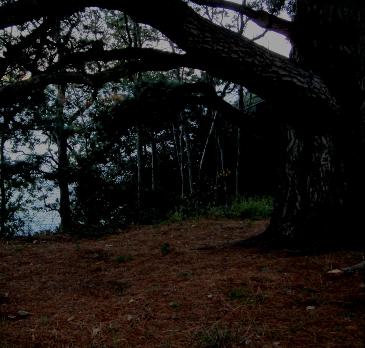 Après 45 km de marche, ça fait plaisir de retrouver un spot où j'avais déjà passé une nuit il y a quelques années. 1er jour sans pluie, par contre je sens qu'il va faire froid. Je monte le bivouac, je mange et au lit. Bonne soirée à vous et a demain