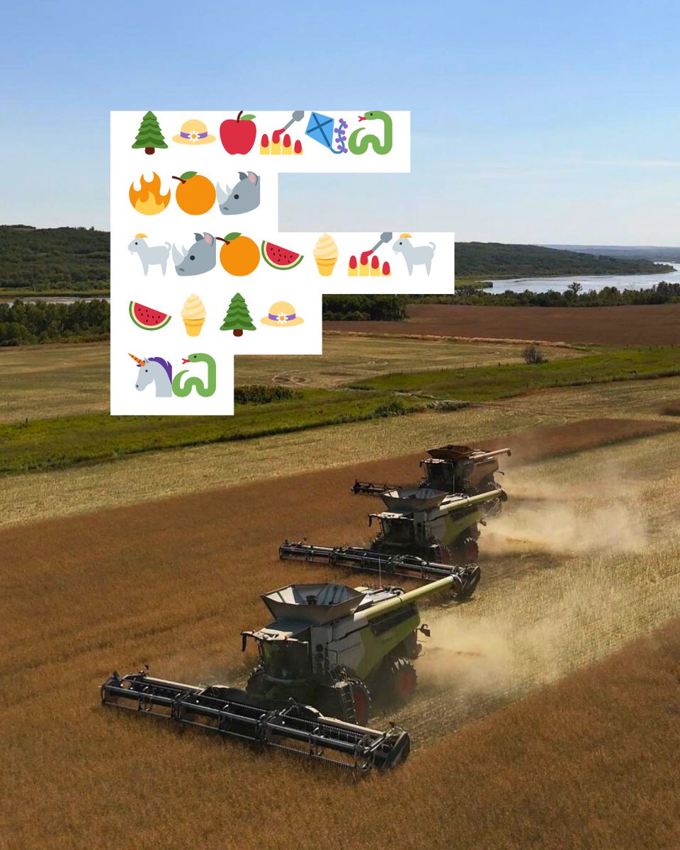 CANTERRA SEEDS tweet media