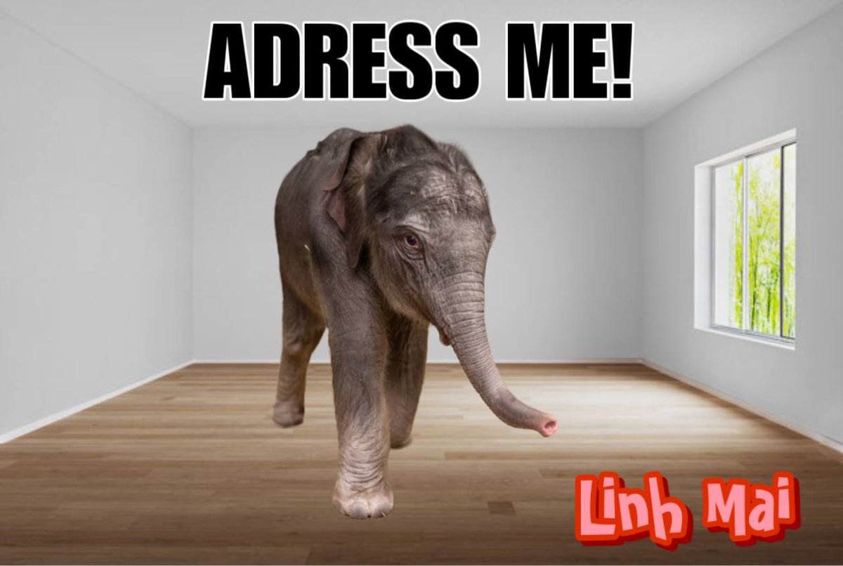 LinhMaiElephant's tweet photo. Good morning community! It's time for a meme competition now that I have acquired my name 🐘 

RULES 📕

1. You must like, retweet, and comment on this post

2. Submit a meme/cool graphic within the next 48 hours in this community (include on your follower timeline too)

PRIZES 🏆

1st = 1 SOL

2nd = 0.75 SOL

3rd = 0.5 SOL

Ready, set, GO! 🎙️