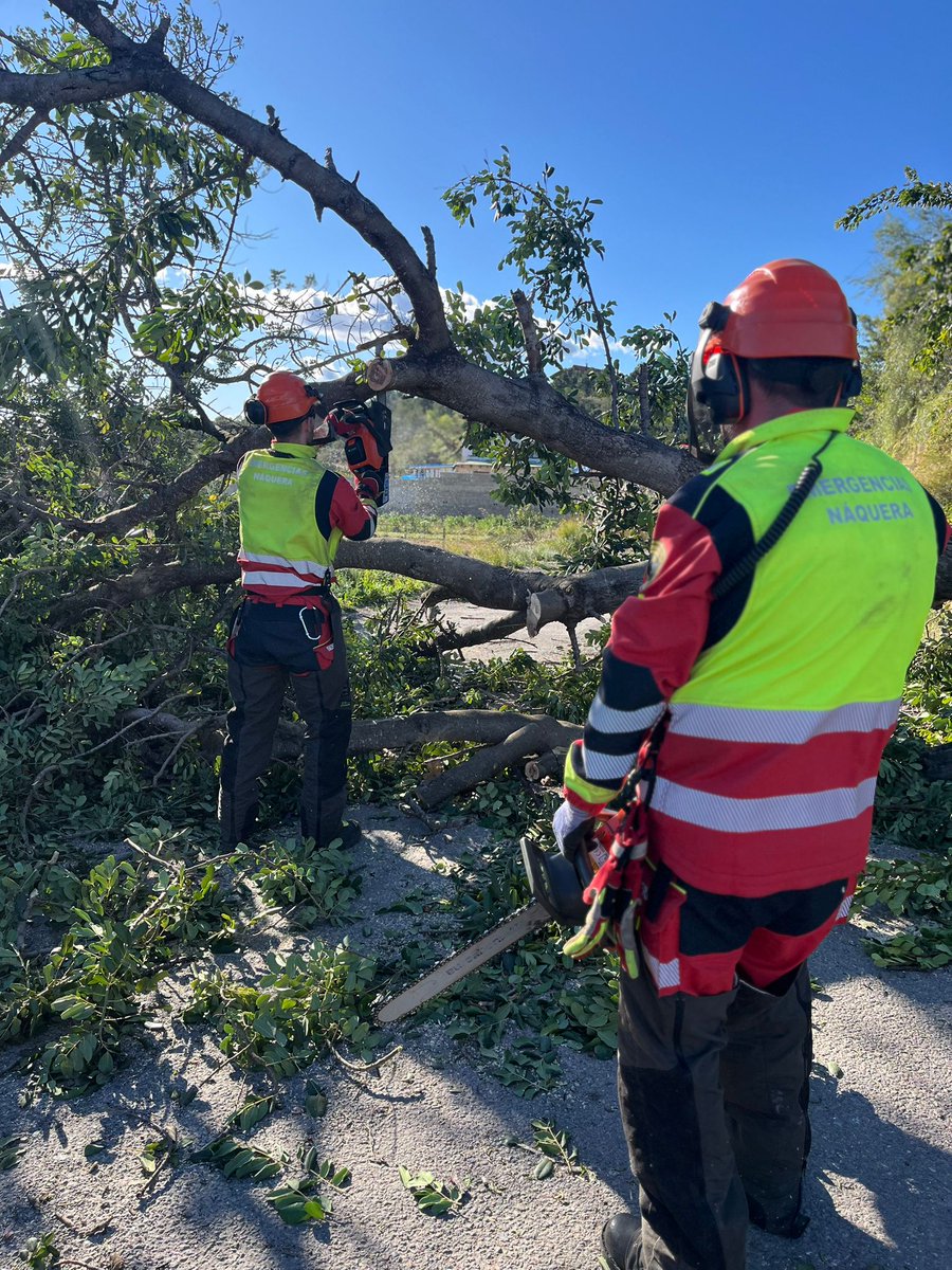 PCNaquera's tweet photo. 🚨 Continuamos atendiendo gran cantidad de servicios relacionados con el viento y la #BorrascaOriana, en coordinación con el Centro de Comunicaciones y Control de @BombersValencia 🚒

#Emergencias #FMA #Meteo ⚠️ https://t.co/AGrpEZsnds