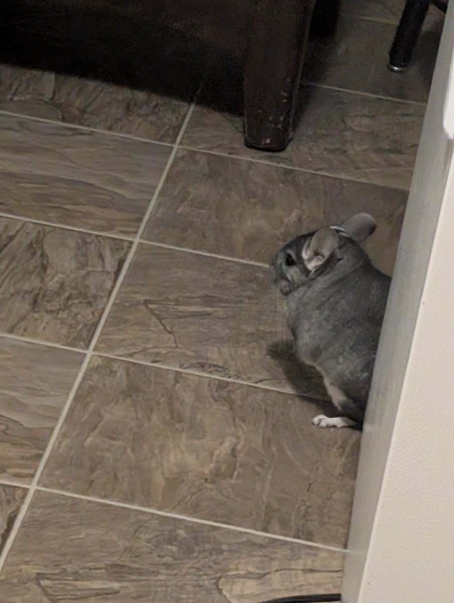 Mako 🦋🐱🔌 tweet media