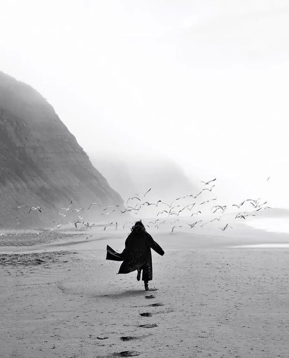 Francisco Ribeiro tweet media