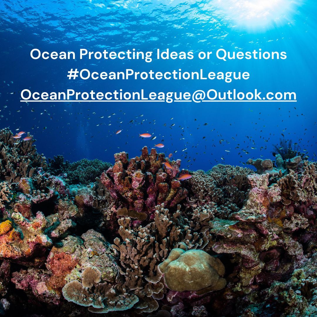 OceanProtectionLeague tweet media