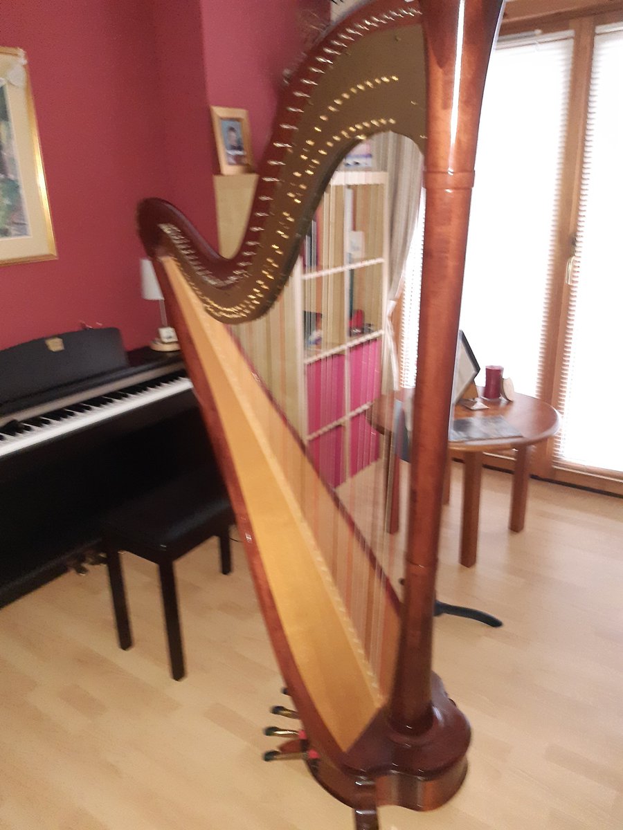 JKnussen's tweet image. Day 45 #100daysofpractice 
Nearly half way through the 100 days already!
It's Saturday evening... I shall pour a large glass of wine 🍷 and retire to the Harp Room.
It would be rude not to 
🎶🎶🎶🎶🎶🎶🎶🎶🎶
@Brian1890violin @Kundun66 @RicksRambles @EasyPeasy_3