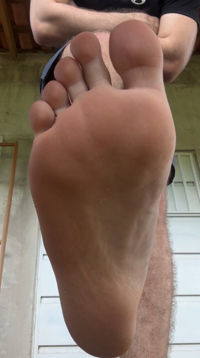 Alpha Solares 🇧🇷 tweet media