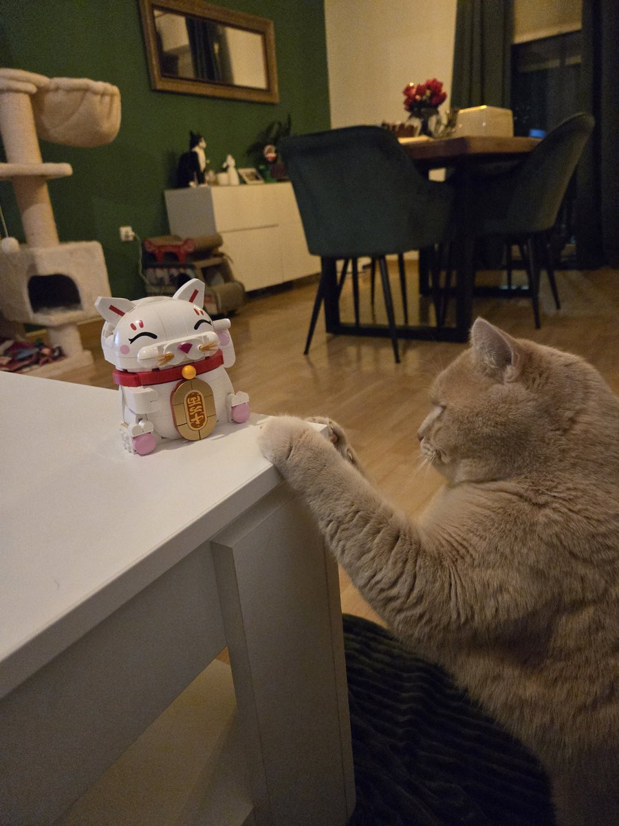 ❣️🐈