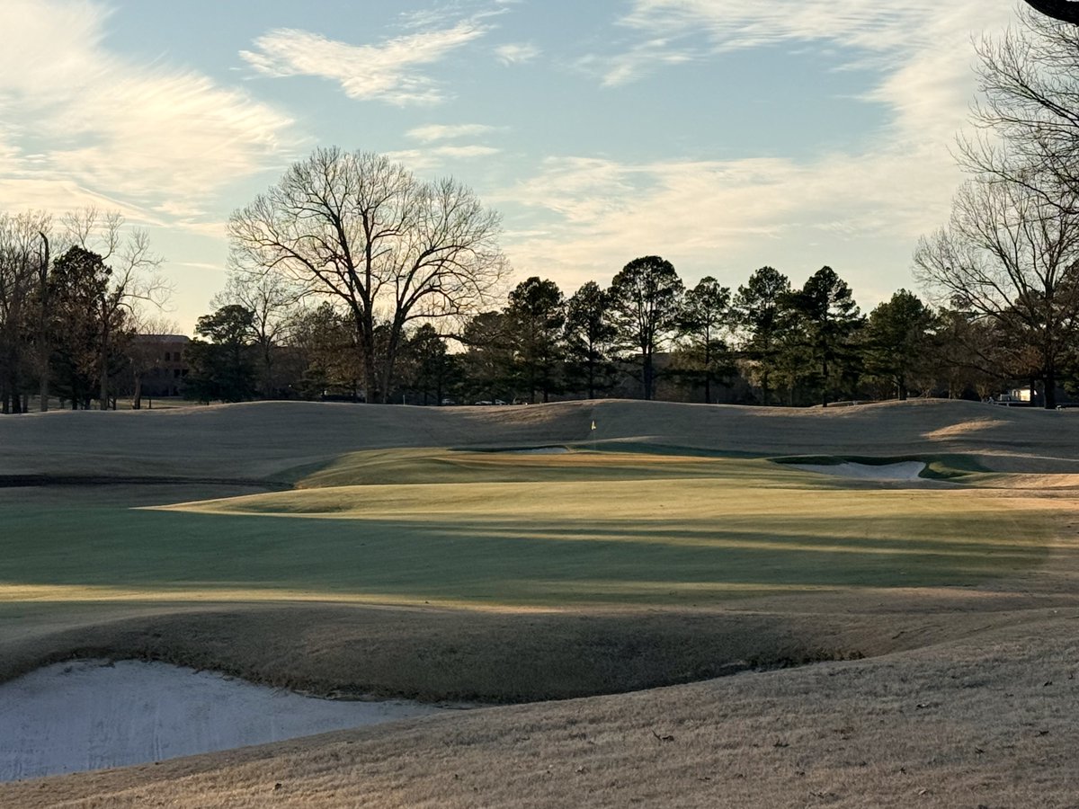 Bendelow Greens tweet media