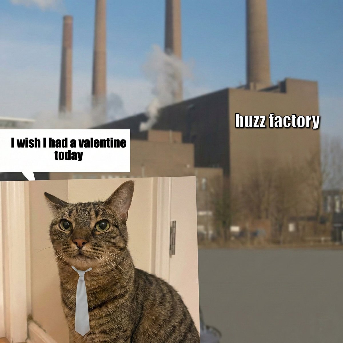 factory cat tweet media