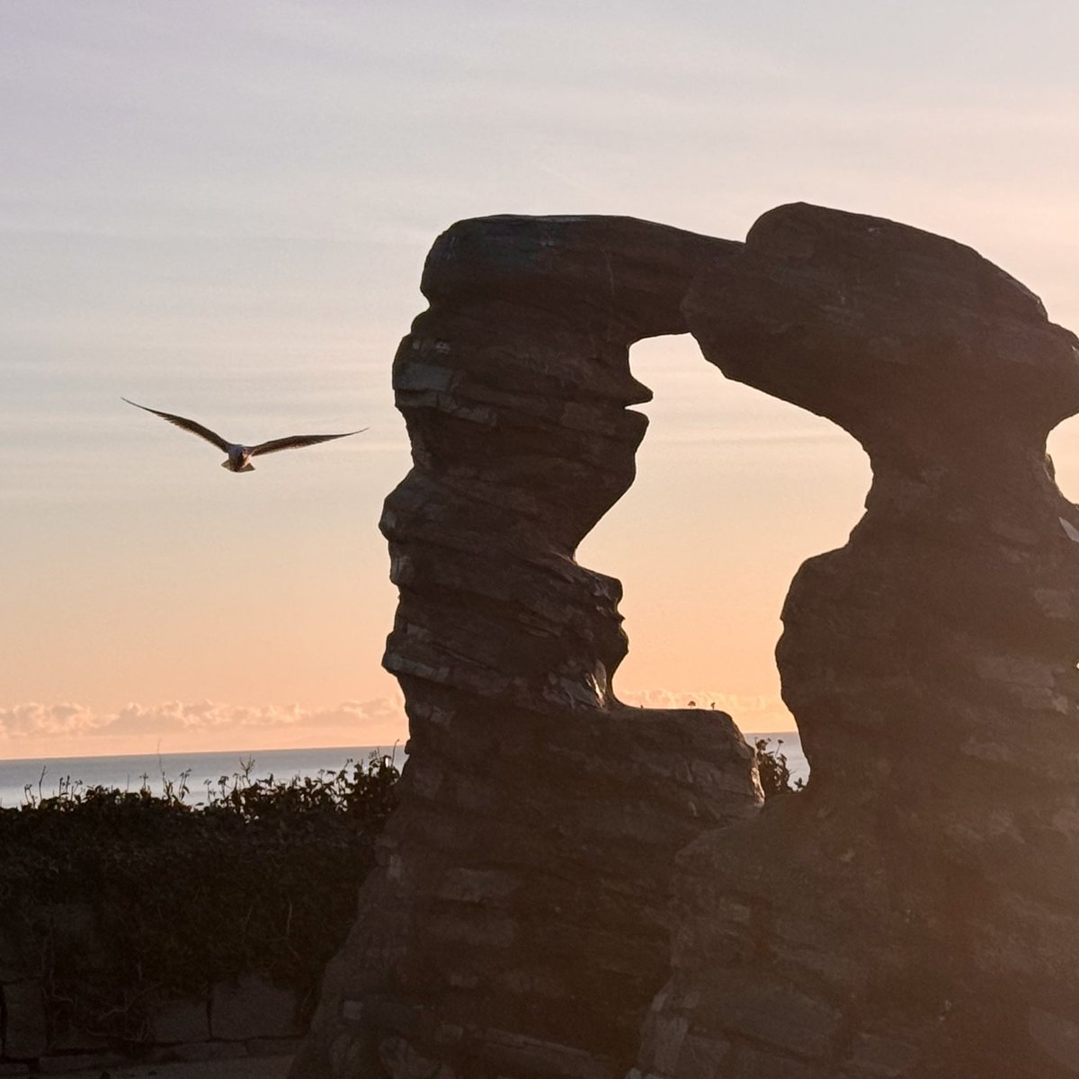 Steven morgan tweet media