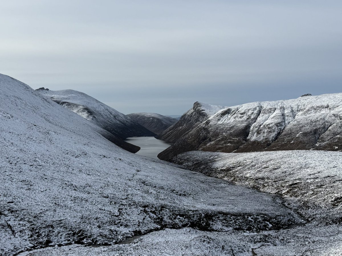 Steven morgan tweet media