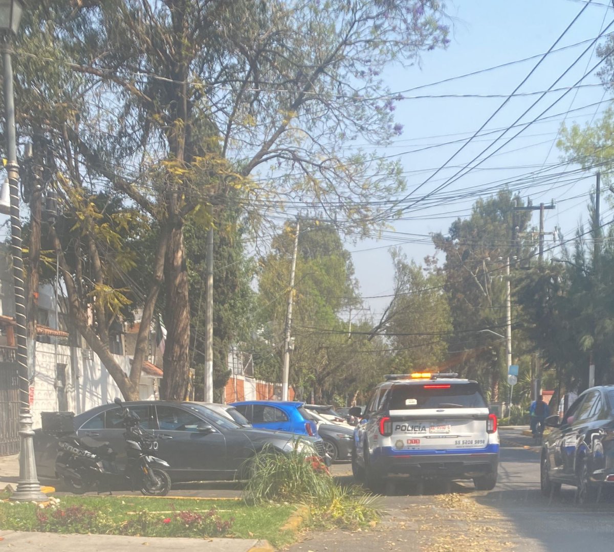 luzelenachavez8's tweet image. Mientras el asesino serial del Bosque de Nativitas sigue asesinando perritos, la alcalde de Xochimilco @CamachoCirce tiene cinco patrullas con 2 policias cada una cuidando su domicilio.
La señora sale cada mañana en un Jeep Rubicón negro con un valor de alrededor de millón y