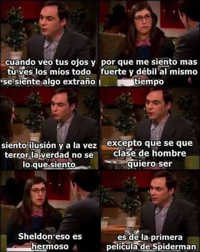 Sheldon PARODIA tweet media