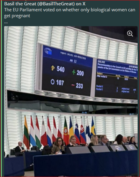 Il Parlamento europeo ha votato sul fatto se solo le donne biologiche possono rimanere incinte.
Risultato:
200 a favore ✅
233 contro 🚫
L'UE ritiene che gli uomini possano rimanere incinti 🤡
Che crolli tutto!