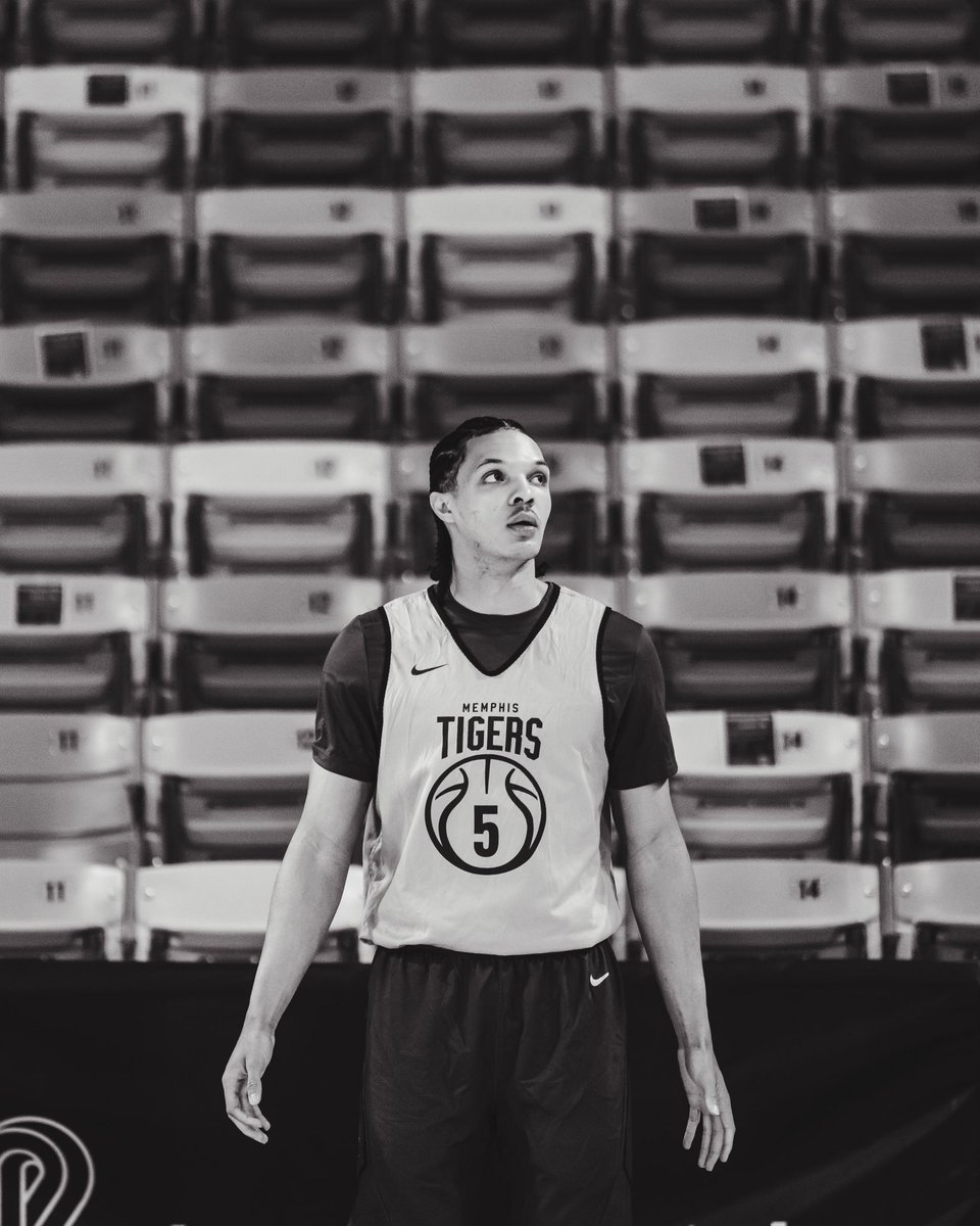 Memphis Basketball tweet media