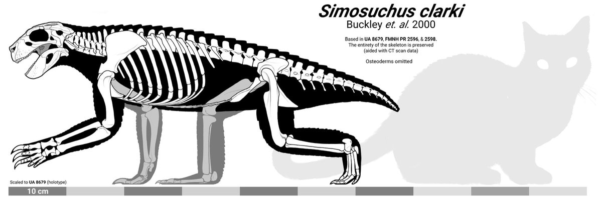 Streets are calling this the most reddit chungus animal oat

Due to foreshortening on pics of its skeleton in lateral view, the long and buff arms of simosuchus are almost never represented, even in depictions like those of Prehistoric Planet or Prehistoric Kingdom