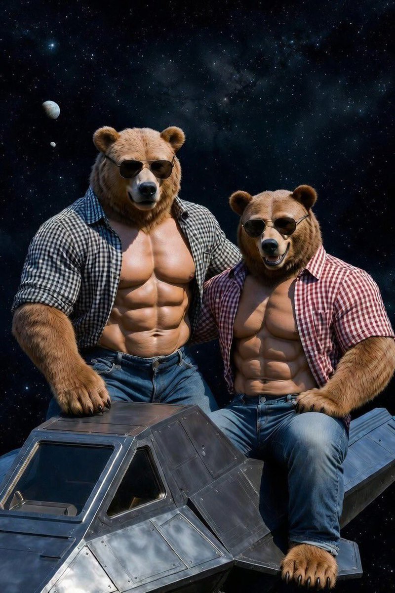 Bears From Space (@bearsfromspace_) / Posts / X