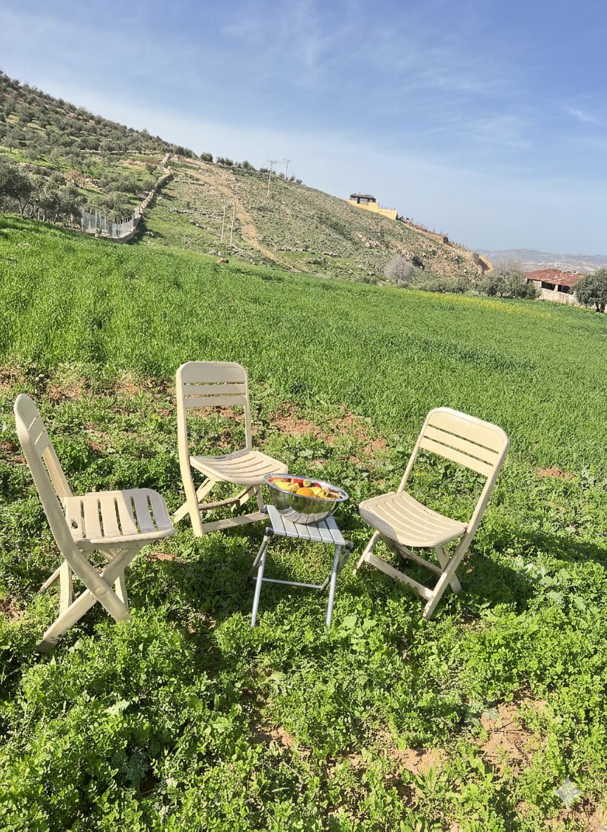 Samar Almanaseer 🇯🇴❤️🇯🇴 tweet media