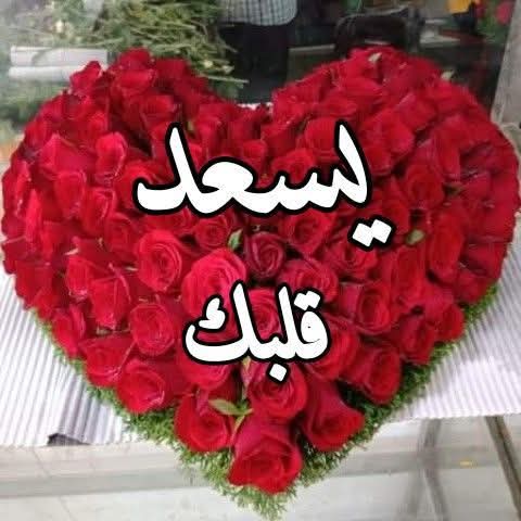 <a href="/8qjjjj/">آلُـِـِِـِِِـِِـِـقٌـ,ـآئڊ</a> <a href="/2E8QFFS/">الہٰكہٰابٰٰتہٰن</a> <a href="/12ZZZ22/">دختور🔥🔥</a> <a href="/nor4rh/">💥Nor elrhman💥</a> <a href="/_zi5q/">WₐₐD🦋</a> <a href="/lln_gb/">الزعيم العالمي</a> <a href="/AAbrve/">عابر</a> <a href="/FFL33li/">♛زهرةالربيع♛</a> <a href="/aml2ali3/">أمل، معلمه من الأهواز</a> <a href="/HMF2026/">تابعني اتابعك Follow me, I'm follow you</a> <a href="/tuwuq_27/">عازفة الأمل</a> <a href="/Alqbani1/">𝐀𝐋𝐐𝐁𝐀𝐍𝐈</a> <a href="/j_nboha80/">اميرته 👑</a> <a href="/shubayr33/">عبدالله شبير‎ النخبوي</a> <a href="/abwwhyb55/">وٌأّفُـيِّ أّلَعٌهّـوٌدٍ شُـأّمًخِـ. ❤🎉</a> <a href="/slwy763027/">سلوى</a> <a href="/MahdiAlqubli/">AbuAbdulrahman💙💙💙ابوعبدالرحمن</a> <a href="/AlhrzyNydh10994/">عنيده الحرزي</a> <a href="/666_kholou62665/">FATMA</a> <a href="/DoraDor49215785/">محمد الكندي ..</a> ✨طِآبًتٌ آيَآمًکْ ًٌ ٰ۫🌹⇣✧بًآلَفُرحً✨🦋;

🌹#مجموعة_عبدو_للدعم
🌹#دعم_ابو_احمد
🌹#القائد_للدعم