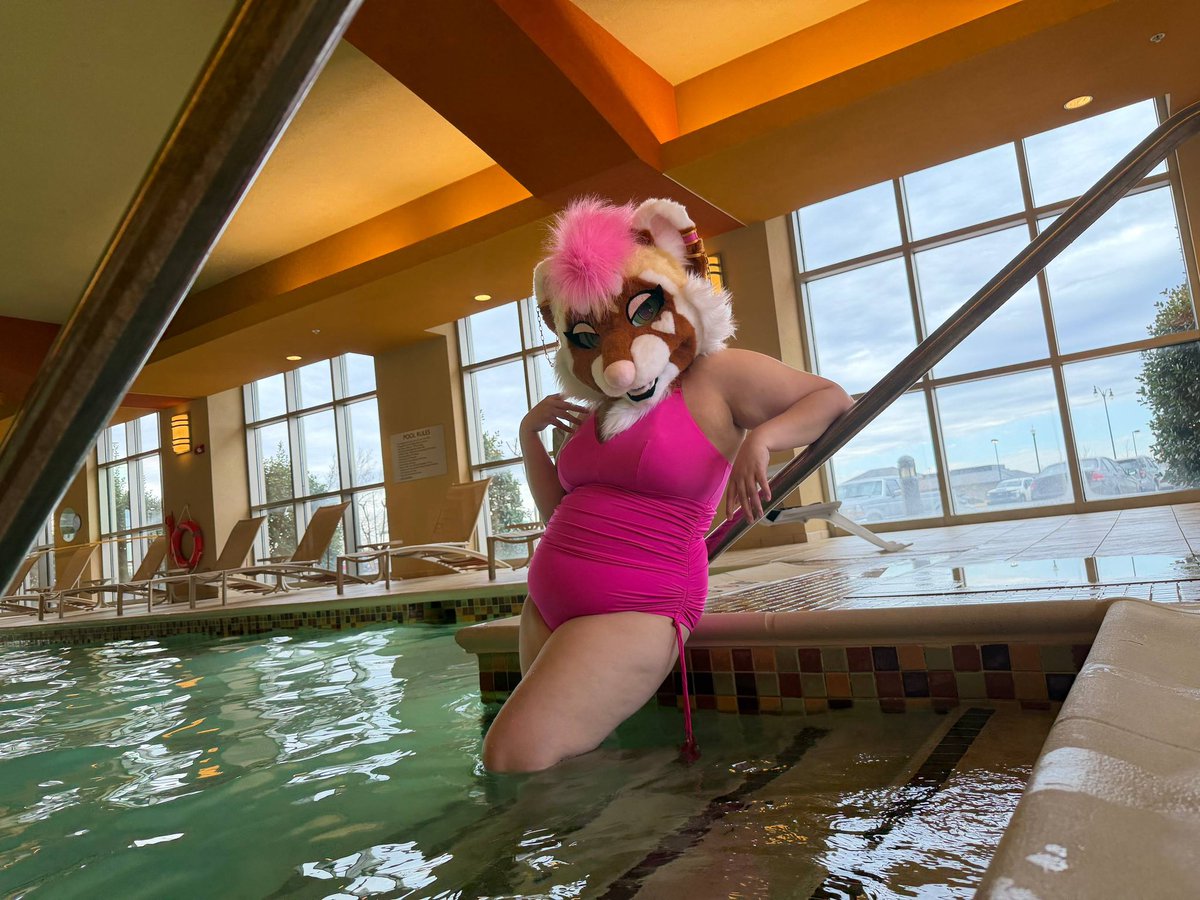 Lexi 🔜 TTFC2026 tweet media