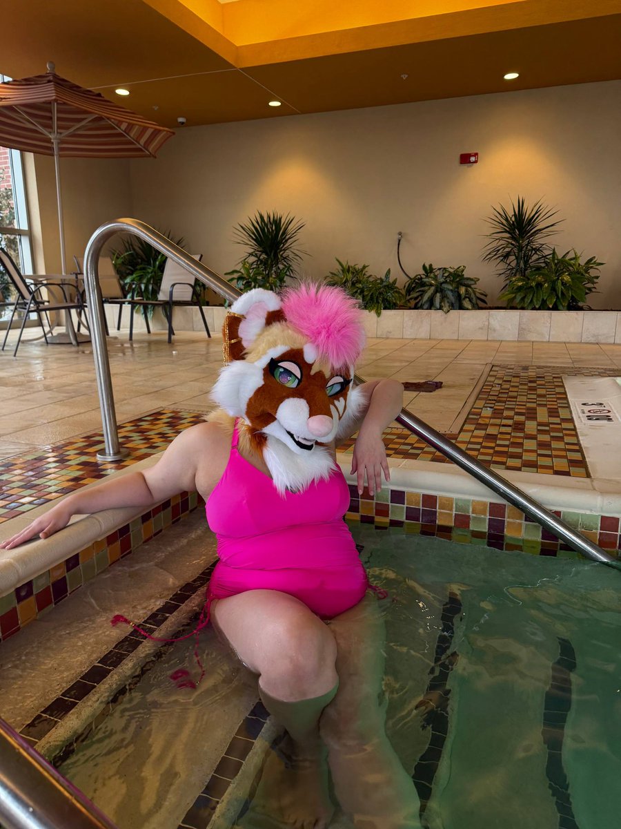 Lexi 🔜 TTFC2026 tweet media