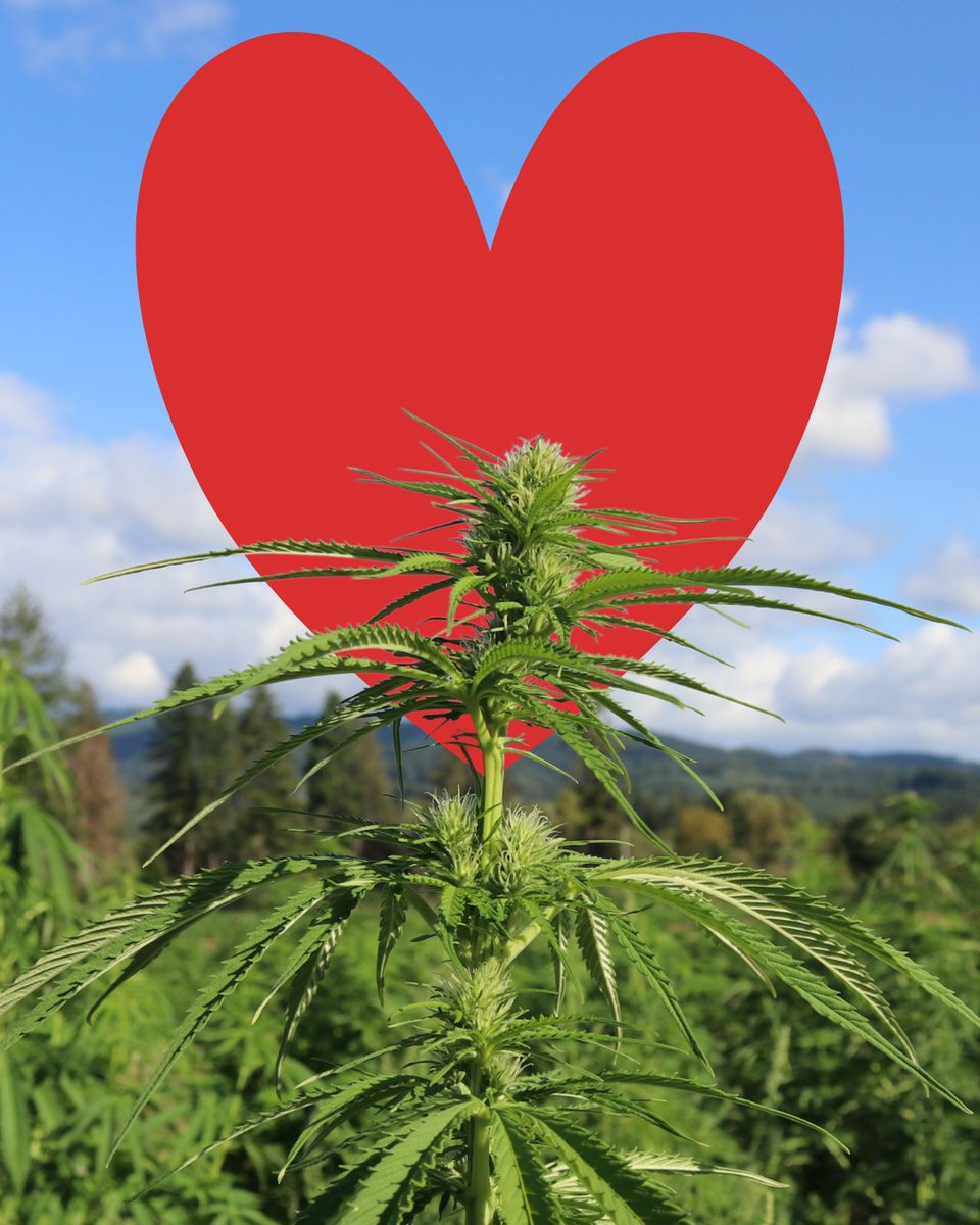 Tweedle Farms tweet media