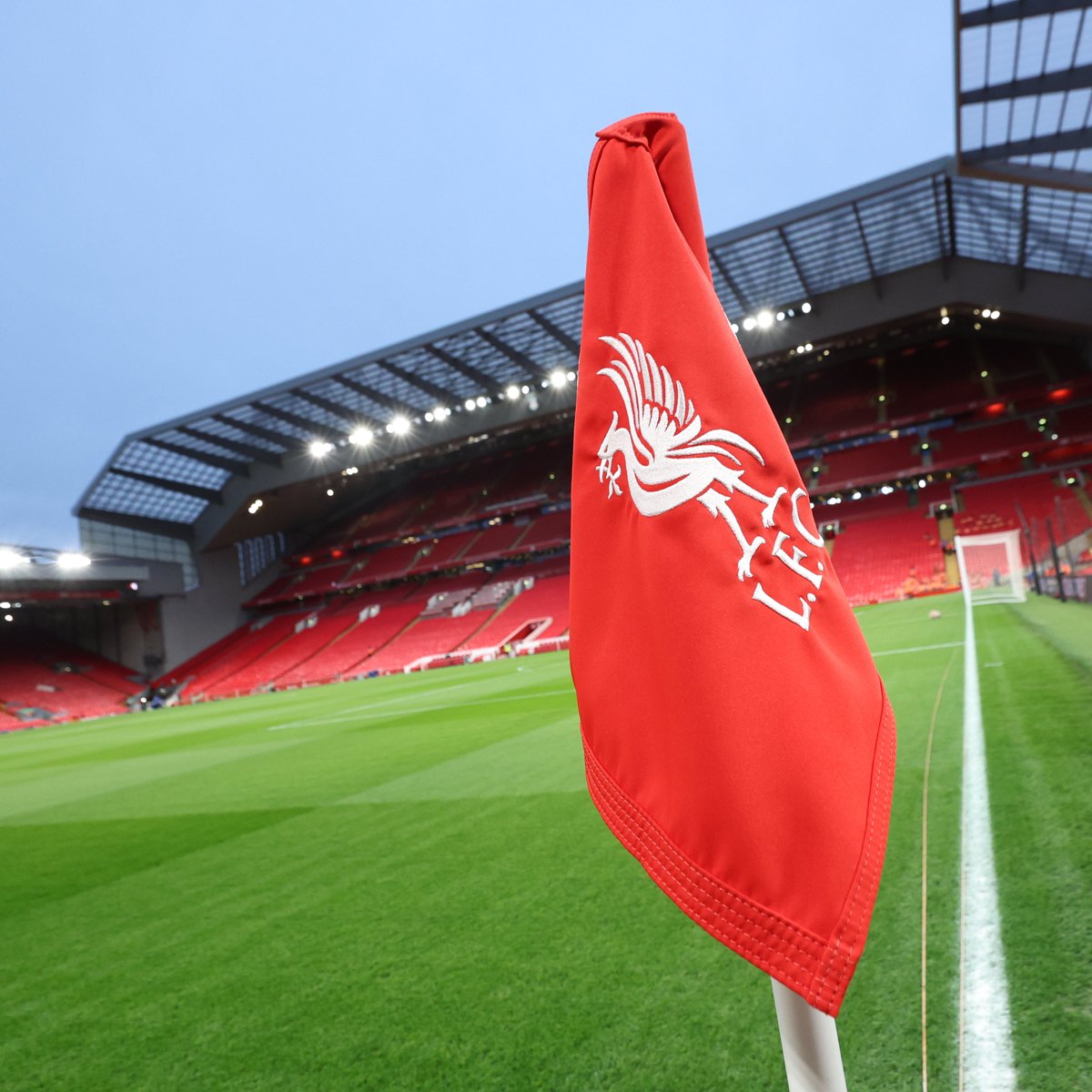 Brighton & Hove Albion tweet media