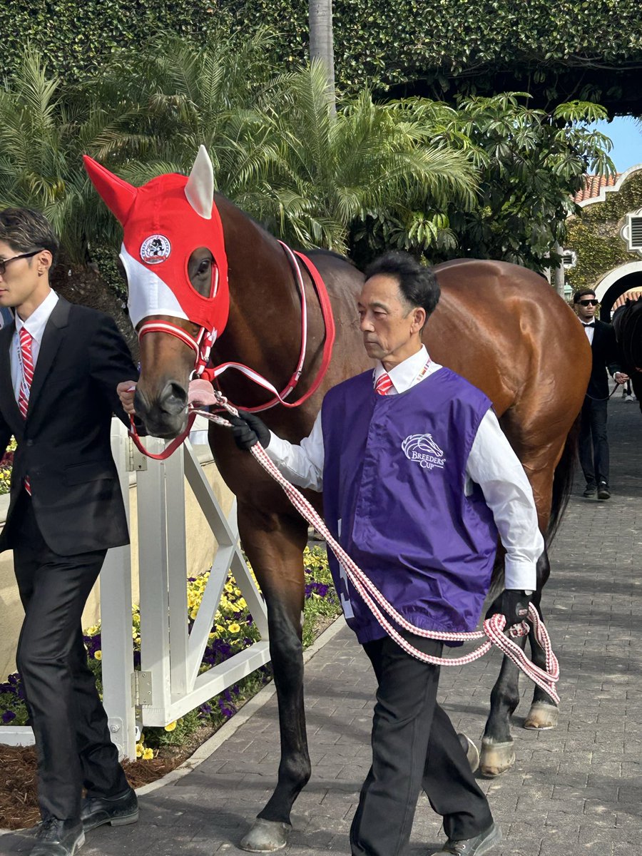 Alexa Ravit tweet media