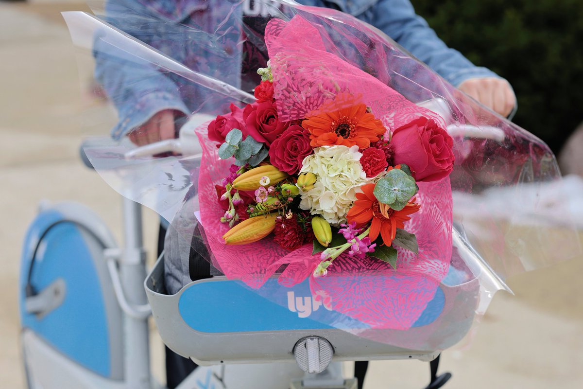 DivvyBikes's tweet photo. Roses are red,
The breeze rolling through,
The city feels better
When we’re riding with you.
Happy Valentine’s Day. 🚲💙 https://t.co/gpzUqY5DEP