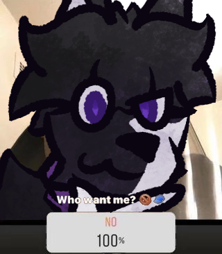 Jaiden The Rover tweet media