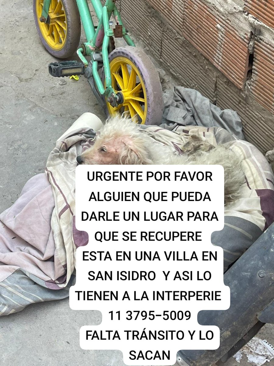 Rt
Ayuda urgente