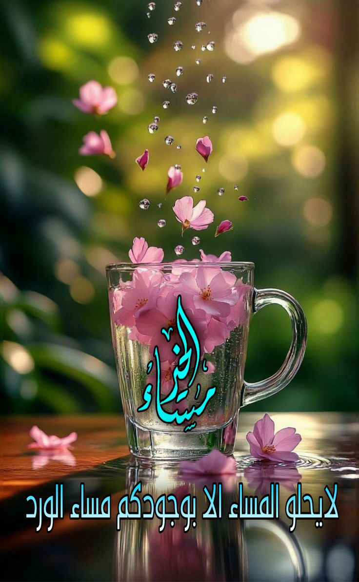 <a href="/Al969_/">Abdullah Al-Ghafari🌞عبدالله الغفاري</a>
<a href="/Fl969_/">ᕙ( @𝑭𝒍969_)ᕗ👁️‍🗨️فـــهـــــيـم</a>
<a href="/_89pp/">EVA GRACE 🌟</a>
<a href="/ji18242/">Jim Corredor</a>
<a href="/Fah7iO/">متع عقلك </a>
<a href="/0kafku/">سكليف إجازة مرضية سكليف صحتي</a>
<a href="/271_abo/">Abo Khalid 271</a>
<a href="/kalkleel/">/خالدالشمري/</a>
<a href="/Ali_Ki02/">ـــ -Ali-Al Kindi--🇸🇦أبو تركيـــ</a>
<a href="/u_mt900/">جميلة الصحراء 🦌</a>
<a href="/ISIZEIRI/">برنــس 🔥🚀</a>
<a href="/kdydc520/">X生活</a>
<a href="/oxygoone1/">ᴠᴏɪᴅ</a>
<a href="/salah_9770/">S 1 L 1 7_9770</a>
<a href="/lhll548074/">الهلال Al-Hilal</a>
<a href="/kordugum0/">S.</a>
<a href="/lthmy154167/">ابو مالك شمران تهامة</a>
<a href="/Sara2000070/">ⓢⓐⓡⓐ l ســــاره</a>
<a href="/kalednaseer771/">ٌخالد ناصر</a>
<a href="/hassanyahya615/">Hassan Yahya🇸🇩</a>
<a href="/LylyAlhrml23259/">بانواجه ياطحنته ياطحني</a>
<a href="/SHAHIDKHANDK/">SHAHID KHAN</a>
<a href="/MartineMuc69298/">mûrari kîhîa</a>
<a href="/L5k7V3ZDDriWcpQ/">قلَــمٌ ✒️؏ـڕبـي حـُــر 🔰</a>