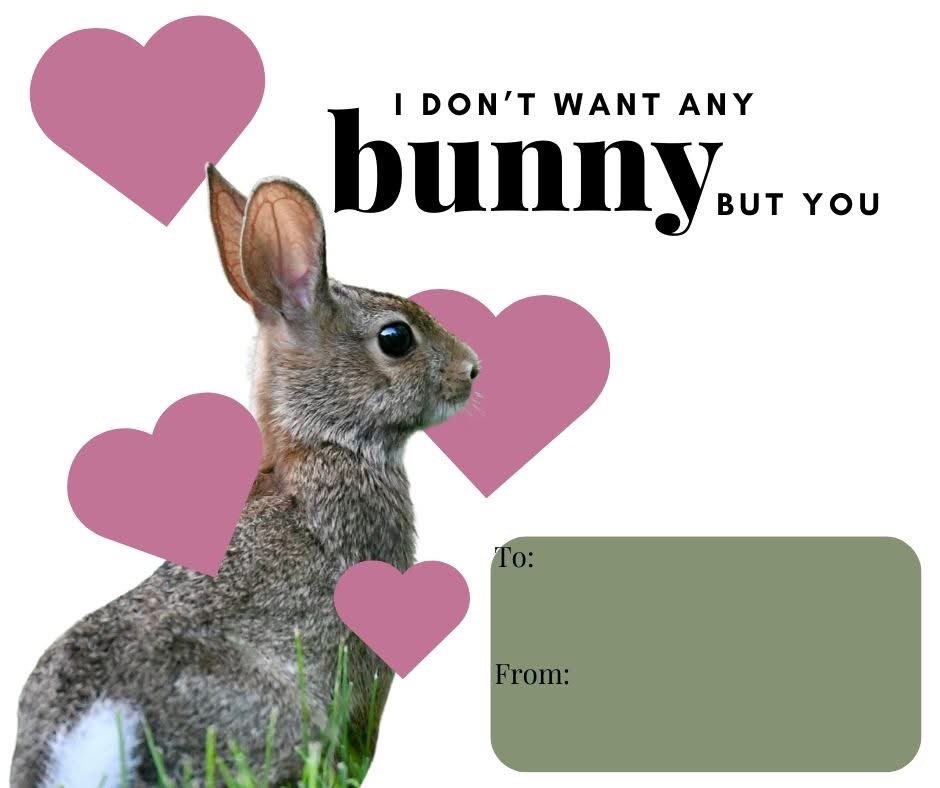 BRWildlifeCtr's tweet photo. Happy Valentines Day! Need a creative card to send to your Someone Special? May we offer: https://t.co/fTytbaFpVX