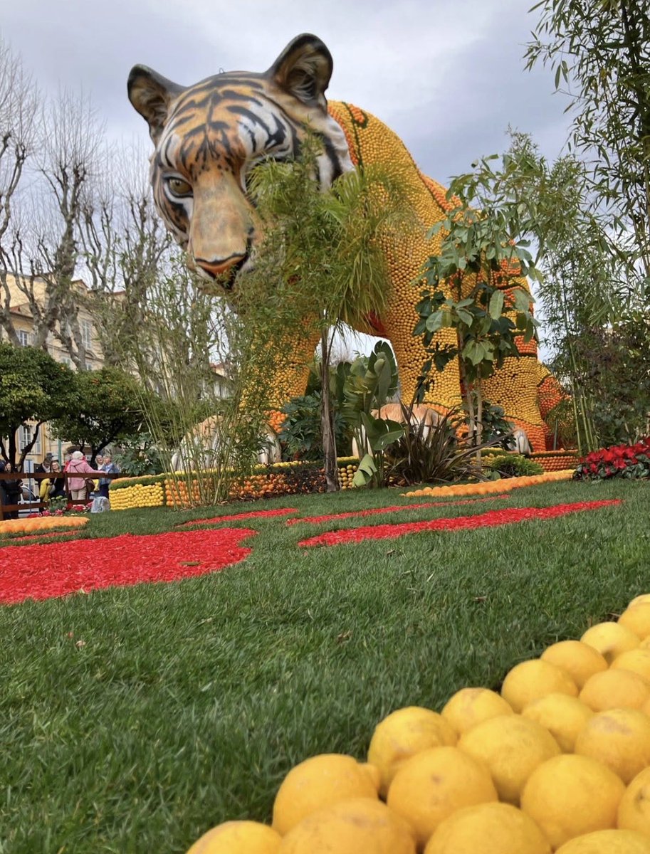 ReadySophie's tweet image. Pressé pour du nectar @The_Life_Bomb ?

Allez faire un tour à la Fête du Citron à Menton 😏
Là-bas, ça déborde de jus… et d’inspiration 🌼🍯

#TLB #Nectar #Menton #FeteDuCitron