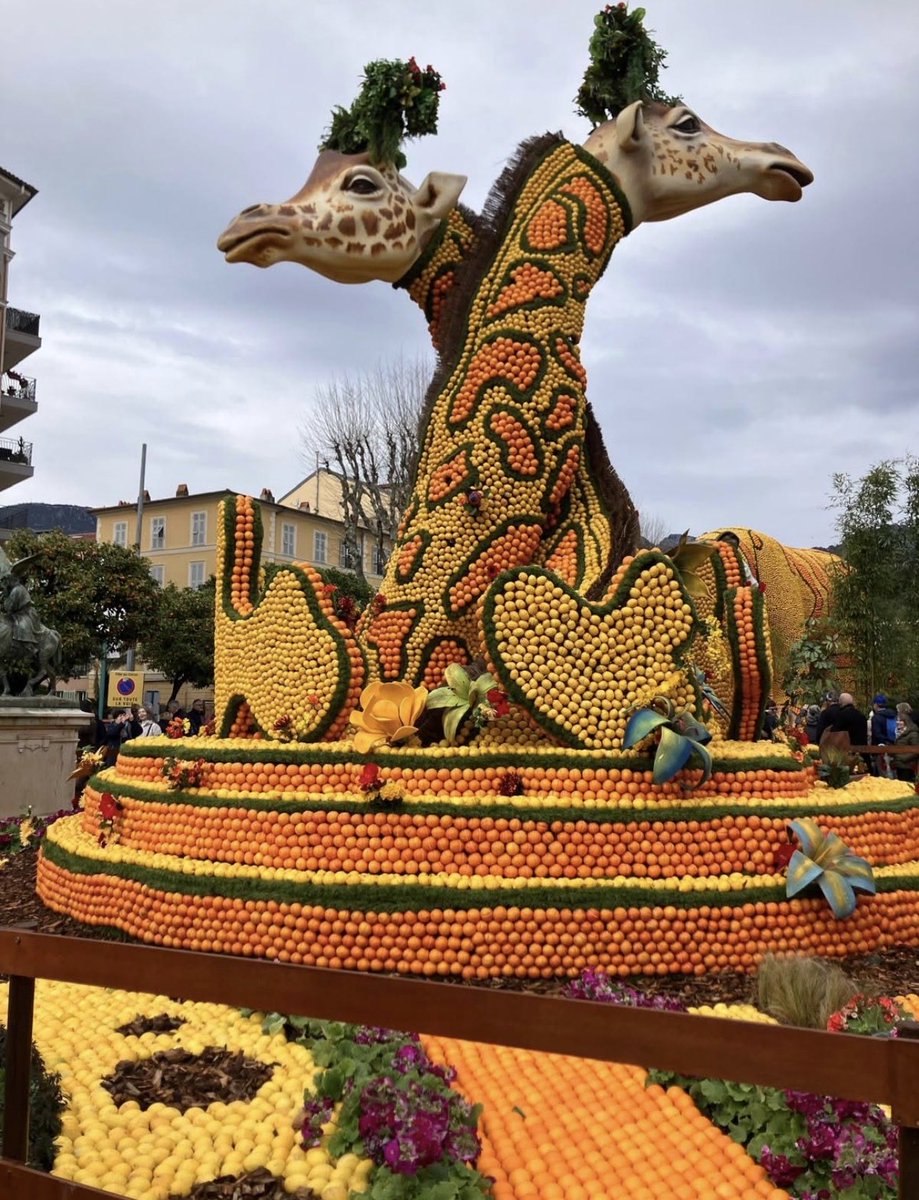 Pressé pour du nectar <a href="/The_Life_Bomb/">🌴 THE LIFE BOMB 🏝️</a> ?

Allez faire un tour à la Fête du Citron à Menton 😏
Là-bas, ça déborde de jus… et d’inspiration 🌼🍯

#TLB #Nectar #Menton #FeteDuCitron