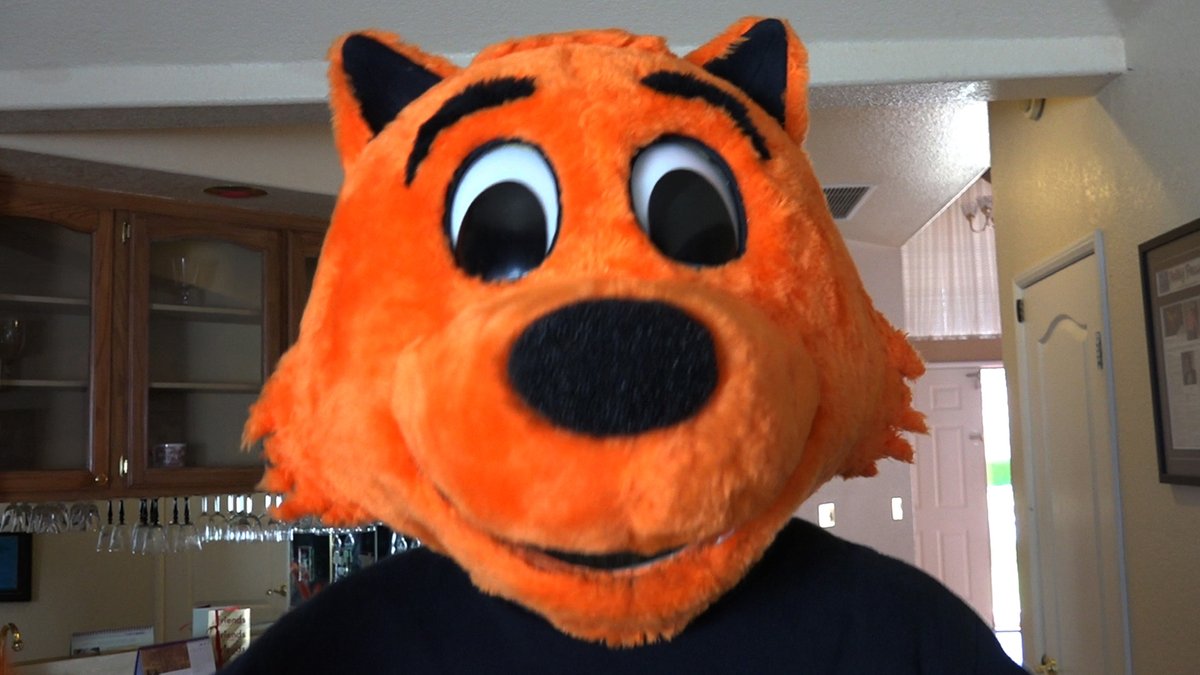 Cool Cat tweet media