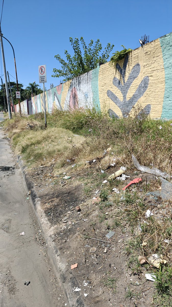 leolopez_13's tweet photo. @Municipalidad3F Está muy bueno que lo aproveche el vecino, pero podrían hacer algo y mantener transitable la vereda para llegar!!! O es algún bosque nativo protegido!!! Hay que caminar por la calle. No esperen las elecciones para cortar y mantener 3F!!! @dievalen @aybar_rodrigo https://t.co/5nUa6vDCIj