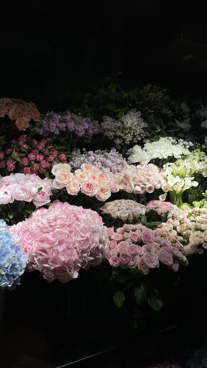 Black. (@blackdreamvibes) on Twitter photo 