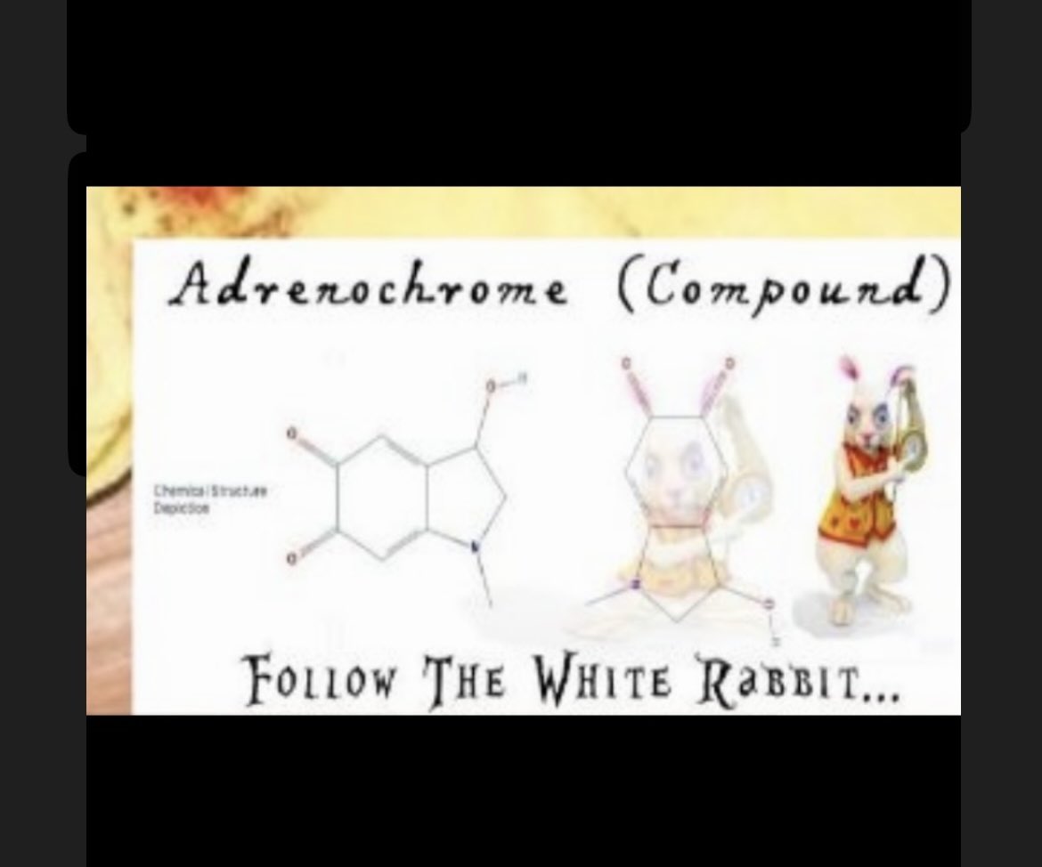 VKfern1960's tweet photo. @reality_revolt_ And the bunny simply represents adrenochrome https://t.co/mFQpZqHGIU