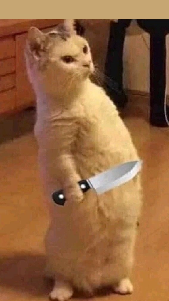 +危ないルタバガ tweet media