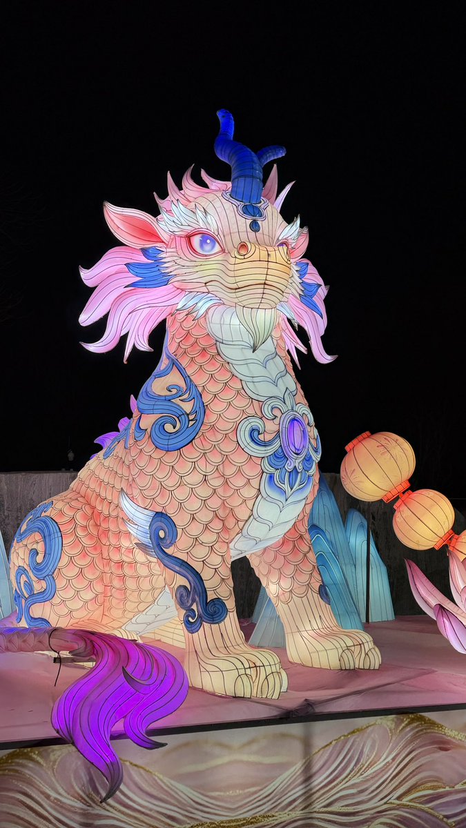 Roger Vicente tweet media