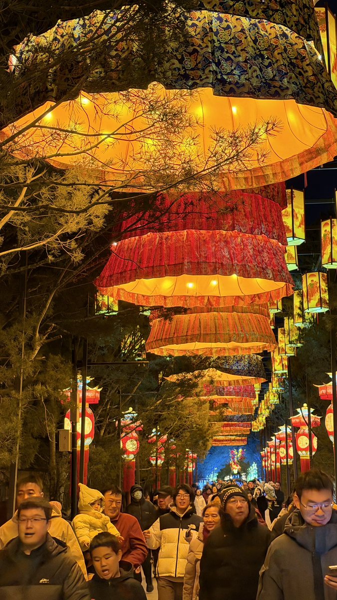 Roger Vicente tweet media