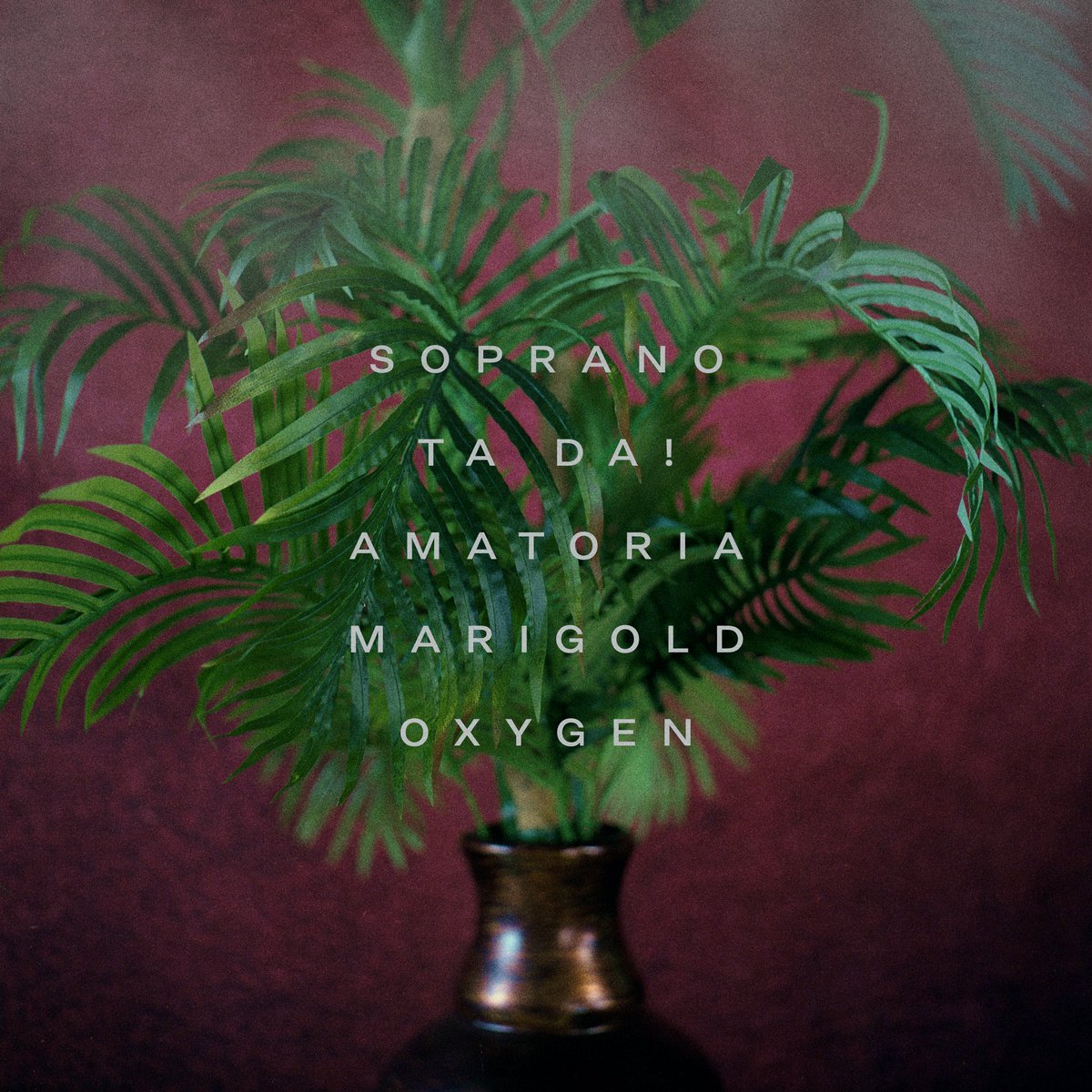arieltiffy's tweet photo. MY SECOND EP AMATORIA IS OUT NOW AND SHE IS BEAUTIFUL! https://t.co/ZylC8F03bZ