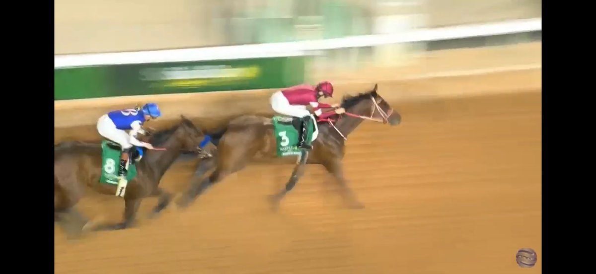 Donna Brothers tweet media