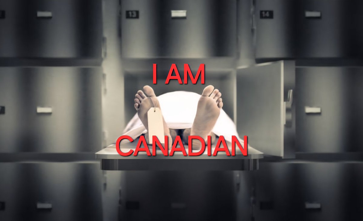 🇨🇦 has no morals. Christianity is being condemned, churches burned to the ground, Muslim values are 🇨🇦ian values, sexual deviantancy is normalized all while 🇨🇦ians are being replaced and sleeping all jacked up on mRNA.