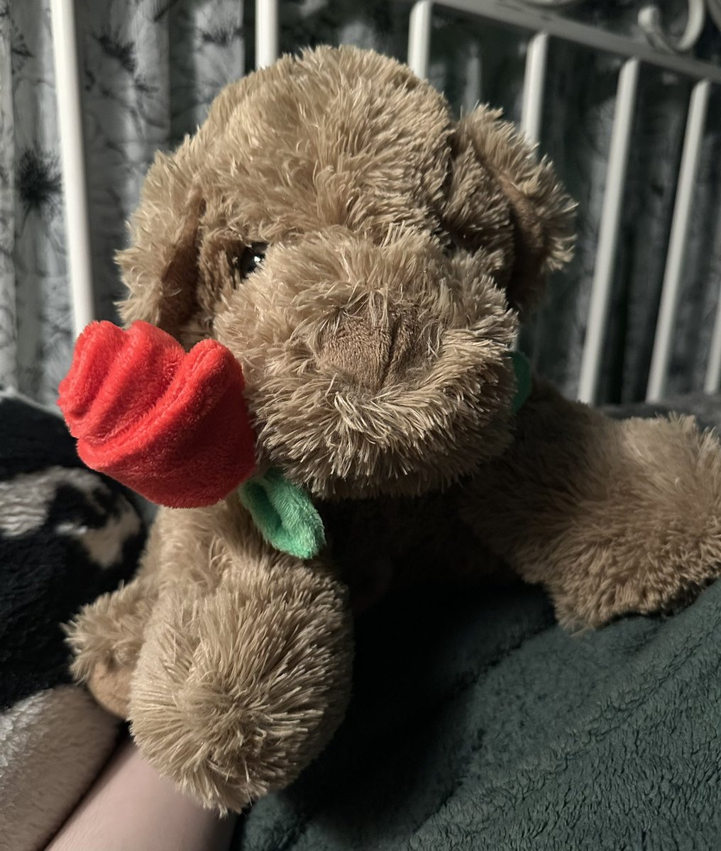 now... the gifts? i am a very lucky lady. this isn't even counting the candy, roses, and so much cake. i love my boys. they bought one of my dream heels oh my godddd 😭😭