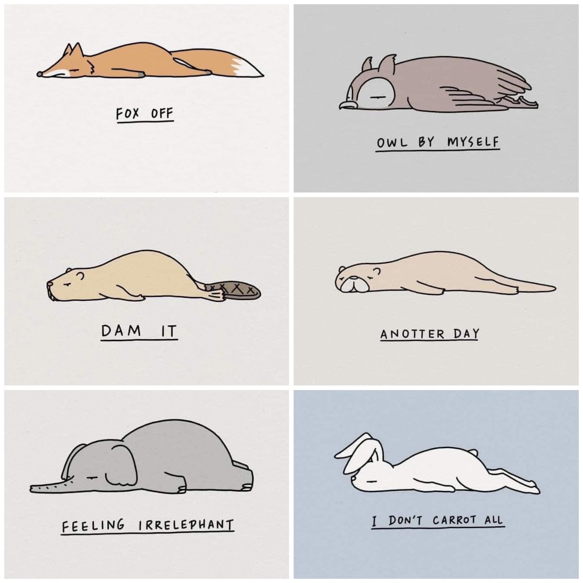 cutedreamvibes's tweet image. 